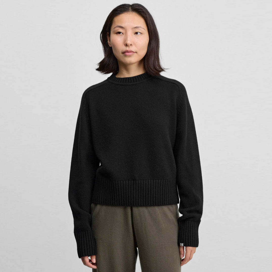Please Cashmere Sweater in Raven (Black)