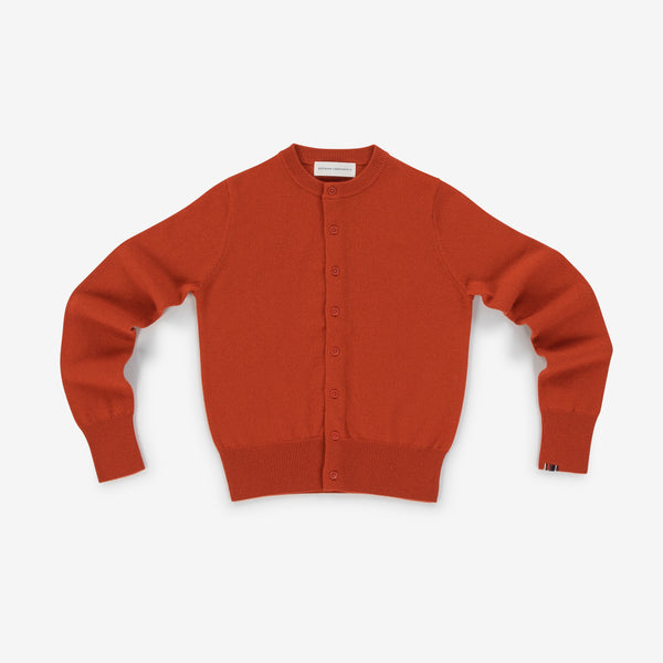Dark orange cashmere cardigan on a white background