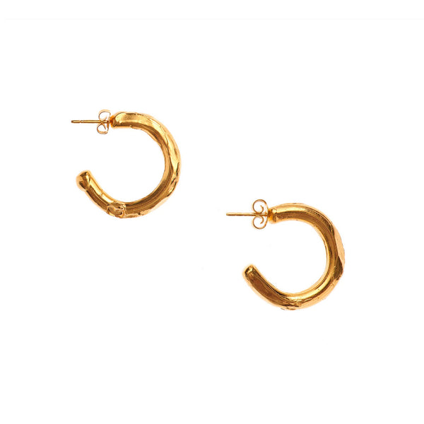 The Etruscan Reminder Earrings