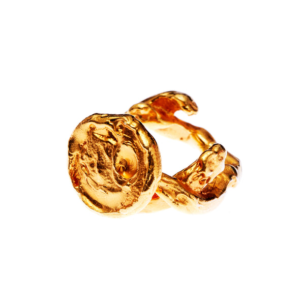 The Wasteland Ring